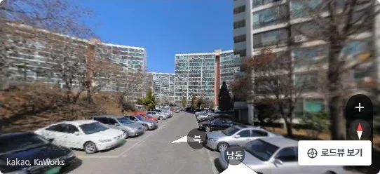 [현장 로드뷰] 서울특별시 강남구 대치동 316 은마아파트 제5동 제3층 제311호 진입로 및 가로변 전경 (자료: 로드뷰)