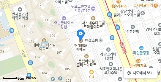 [위치 지도] 서초동 오피스텔 현대ESA아파트 위치 및 주변 환경 (자료: 위치정보 지도)