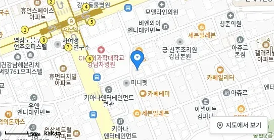 [위치 지도] 역삼동 건물/빌딩 위치 및 주변 환경 (자료: 위치정보 지도)