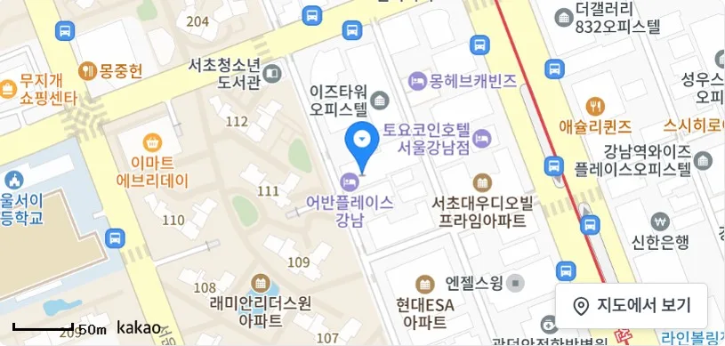 [위치 지도] 서울특별시 서초구 서초동 1337-3 외 2필지 강남역푸르지오시티 제3층 제304호 위치 및 주변 환경 (자료: 위치정보 지도)