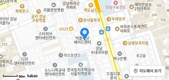 [위치 지도] 서울특별시 강남구 논현동 242-45 논현더라움 제3층 제303호 위치 및 주변 환경 (자료: 위치정보 지도)