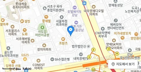 [위치 지도] 서초동 사무실 위치 및 주변 환경 (자료: 위치정보 지도)