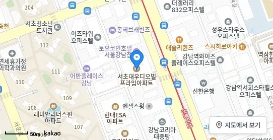[위치 지도] 서초동 오피스텔 서초동 대우디오빌프라임 위치 및 주변 환경 (자료: 위치정보 지도)