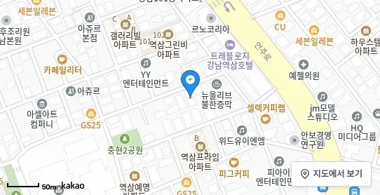 [위치 지도] 역삼동 건물/빌딩 위치 및 주변 환경 (자료: 위치정보 지도)