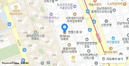 [위치 지도] 서초동 아파트 현대ESA아파트 위치 및 주변 환경 (자료: 위치정보 지도)