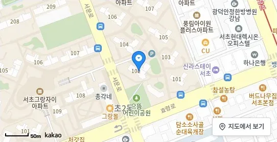 [위치 지도] 서초동 아파트 래미안 리더스원 위치 및 주변 환경 (자료: 위치정보 지도)