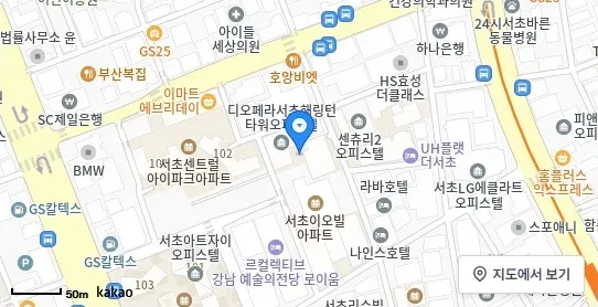 [위치 지도] 서초동 오피스텔 디오페라서초해링턴타워 위치 및 주변 환경 (자료: 위치정보 지도)